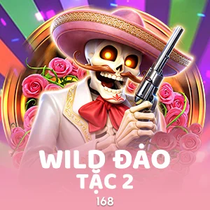 Wild Đạo Tặc